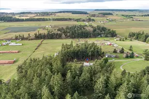 651 Long Ears Way, Coupeville, WA 98239 - Photo 39