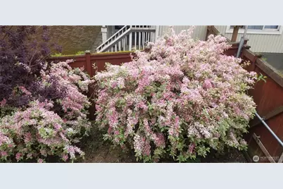 16114 SE Newport Way, Bellevue, WA 98006 - Photo 37