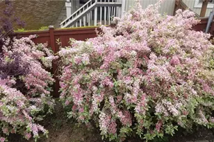 16114 SE Newport Way, Bellevue, WA 98006 - Photo 37