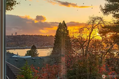 4525 NE 41st Street, Seattle, WA 98105 - Photo 19