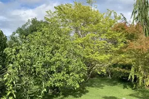 3216 Bennett Dr, Bellingham, WA 98225 - Photo 33