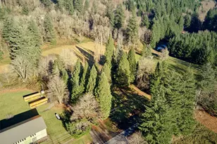 11846 Lewis River Rd, Ariel, WA 98603 - Photo 3