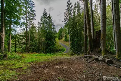 1 Lot Bison Run, Longview, WA 98632 - Photo 9