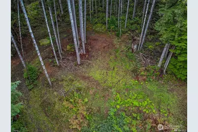 1 Lot Bison Run, Longview, WA 98632 - Photo 5
