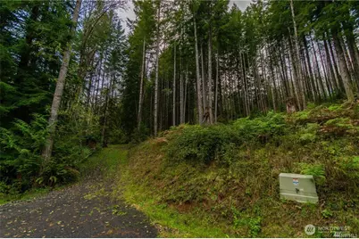 1 Lot Bison Run, Longview, WA 98632 - Photo 3