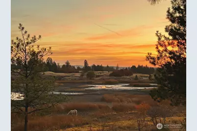 37227 S Long Road, Cheney, WA 99004 - Photo 29