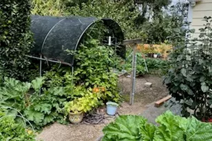 24610 110th Ave E, Graham, WA 98338 - Photo 37