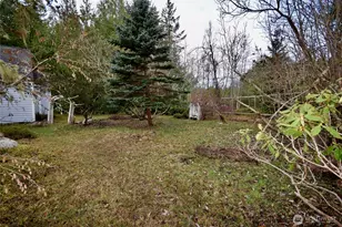 323 Critter Country Trail, Sequim, WA 98382 - Photo 31