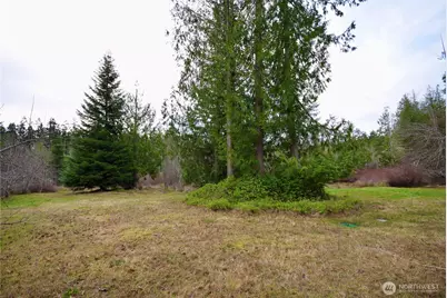 323 Critter Country Trail, Sequim, WA 98382 - Photo 37