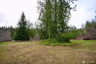 323 Critter Country Trail, Sequim, WA 98382 - Photo 37