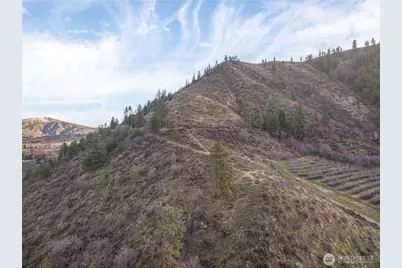 0 Tigner Road, Cashmere, WA 98815 - Photo 11