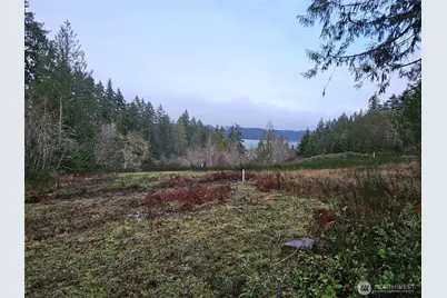 211 E Linda Vista Court, Union, WA 98592 - Photo 9