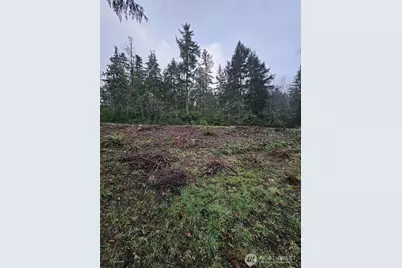 211 E Linda Vista Court, Union, WA 98592 - Photo 13