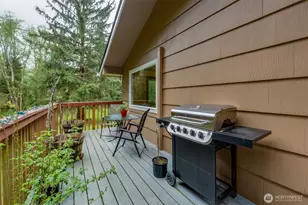 48 Elk Ridge Ln, Naselle, WA 98638 - Photo 33