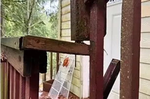 10 Sandalwood Circle, Bellingham, WA 98229 - Photo 5