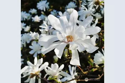 1301 NW 40th Street, Vancouver, WA 98660 - Photo 33