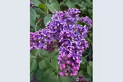 1301 NW 40th Street, Vancouver, WA 98660 - Photo 29