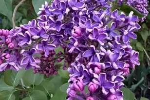 1301 NW 40th St, Vancouver, WA 98660 - Photo 29