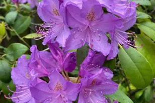 1301 NW 40th St, Vancouver, WA 98660 - Photo 31