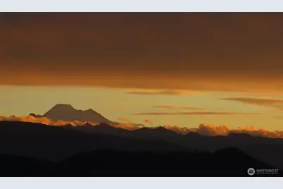 722 Panorama Ridge, Mount Vernon, WA 98273 - Photo 39