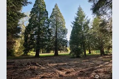 11846 Lewis River Road, Ariel, WA 98603 - Photo 19