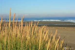 1409 S Cohasset Crest, Westport, WA 98595 - Photo 33