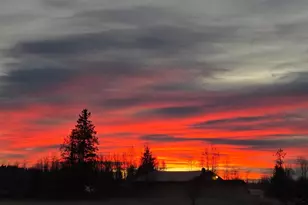 541 Hann St, Buckley, WA 98321 - Photo 9