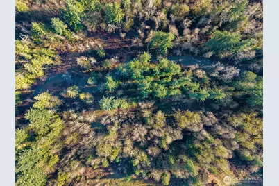 0 US Hwy 12, Mossyrock, WA 98564 - Photo 9