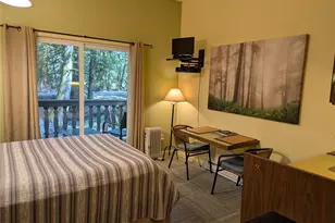 10433 Mt Baker Hwy, Glacier, WA 98244 - Photo 5