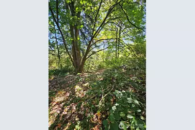 3225 41st Street NE, Tacoma, WA 98422 - Photo 13