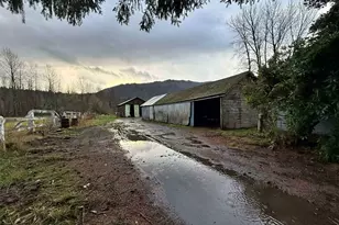 137 Glenoma Rd, Glenoma, WA 98336 - Photo 27