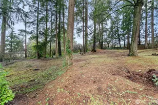 333 Wildcat St SE, Lacey, WA 98503 - Photo 33