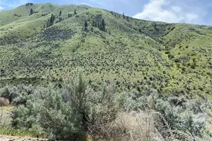 1585 Pitcher Canyon Rd, Wenatchee, WA 98801 - Photo 1