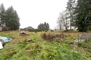 459 Cinebar Rd, Onalaska, WA 98570 - Photo 3