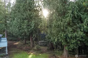 4282 Witter Rd, Langley, WA 98260 - Photo 39