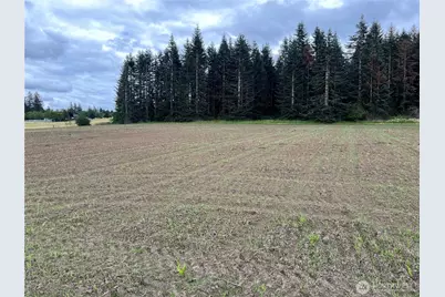 0 Xxx SE 303 Ave, Washougal, WA 98671 - Photo 3