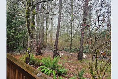 81 Satsop Riviera Loop, Elma, WA 98541 - Photo 27