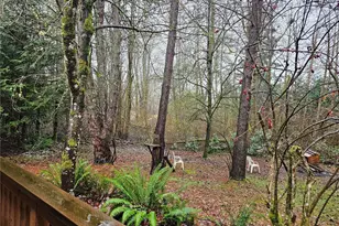 81 Satsop Riviera Loop, Elma, WA 98541 - Photo 27