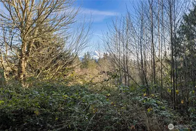 16018 229th Street E, Graham, WA 98338 - Photo 7