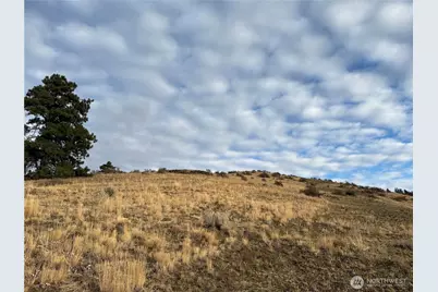 0 Xx Deer Creek Drive, Waterville, WA 98858 - Photo 7