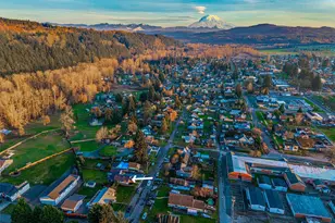 316 Bowlin Ave NE, Orting, WA 98360 - Photo 37