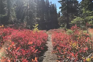 74 Erste St, Snoqualmie Pass, WA 98068 - Photo 29