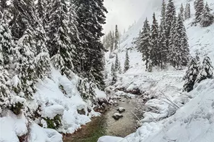 74 Erste St, Snoqualmie Pass, WA 98068 - Photo 17