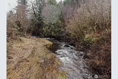 6174 US Hwy 12, Morton, WA 98356 - Photo 3