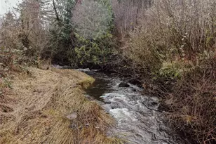 6174 US Hwy 12, Morton, WA 98356 - Photo 3