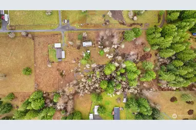 28110 549th Street E, Ashford, WA 98304 - Photo 37