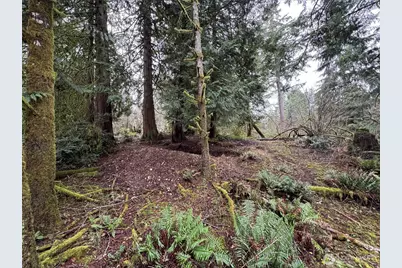 10110 Selma Circle, Anderson Island, WA 98303 - Photo 1