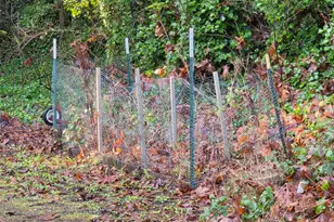 101 W Harvard Ave, Shelton, WA 98584 - Photo 25