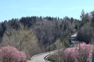 20702 190th Ave E, Orting, WA 98360 - Photo 1