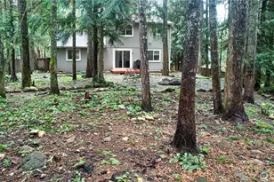 18711 Sylvan Dell Ct SE, Yelm, WA 98597 - Photo 27